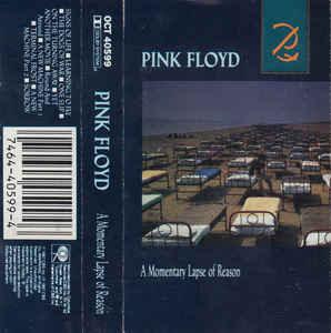 Pink Floyd- A Momentary Lapse Of Reason - DarksideRecords