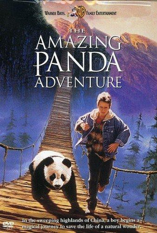 The Amazing Panda Adventure - Darkside Records