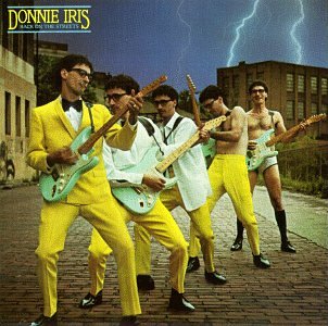 Donnie Iris- Back on the Streets - Darkside Records