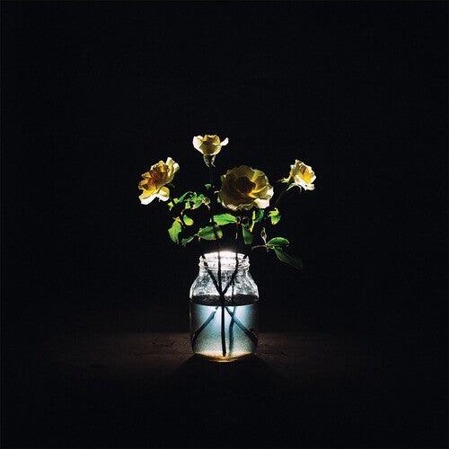 Billy Strings- Renewal - Darkside Records