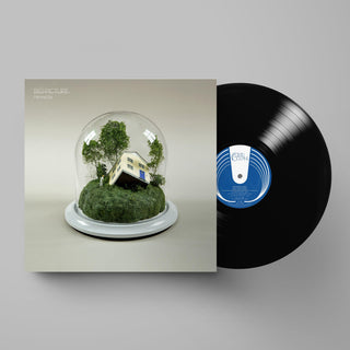 Fenne Lily- Big Picture (PREORDER) - Darkside Records