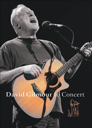 David Gilmour- In Concert - DarksideRecords