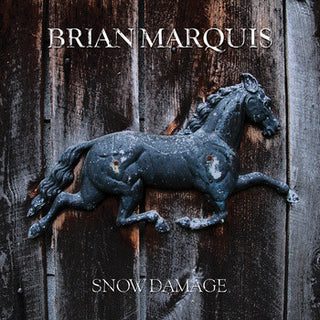 Brian Marquis- Snow Damage (Black/Silver Marbled) - Darkside Records