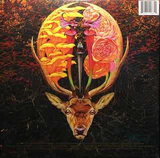 Baroness- Gold & Grey (In-Store Exclusive) - Darkside Records