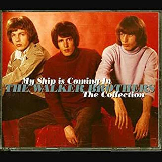Walker Brothers- My Ship is Coming In - Darkside Records
