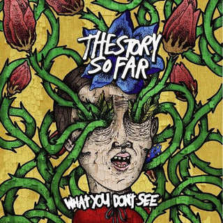 Story So Far- What You Don't See - Darkside Records