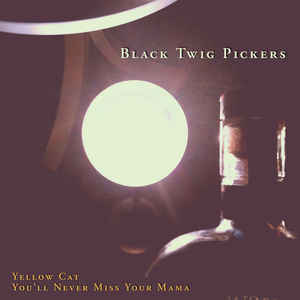 Black Twig Pickers- Yellow Cat -RSD12 - Darkside Records