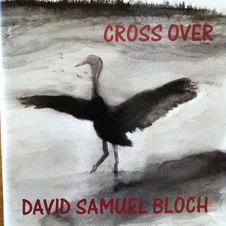 David Samuel Bloch- Cross Over - DarksideRecords