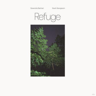 Devendra Banhart- Refuge (Blue Seaglass Wave Translucent Vinyl) - Darkside Records