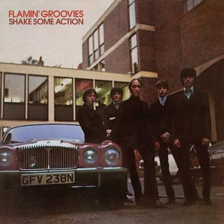 Flamin' Groovies- Shake Some Action - Darkside Records