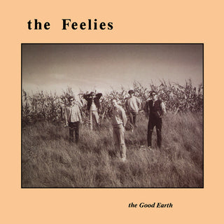 The Feelies- The Good Earth - Darkside Records