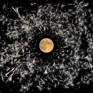Lisa O'Neill- All Of This Is Chance - Darkside Records