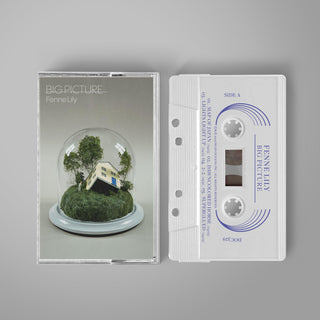 Fenne Lily- Big Picture (PREORDER) - Darkside Records