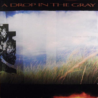 A Drop In The Grey- Certain Sculptures - Darkside Records