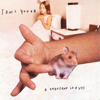 Sonic Youth- A Thousand Leaves - Darkside Records