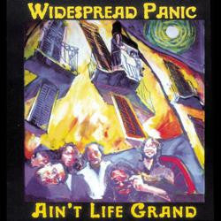 Widespread Panic- Ain't Life Grand (Purple/Yellow Vinyl) - Darkside Records